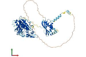 Protein Structure (PS) image for Methyltransferase Like 16 (METTL16) (AA 1-553) protein (His tag) (ABIN7560542)