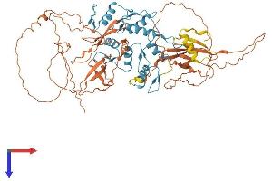 ZNF143 Protein (AA 1-638) (His tag)