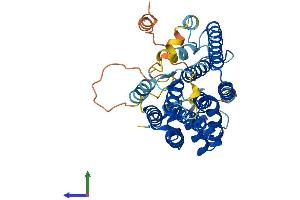 Protein Structure (PS) image for Prenyl (Decaprenyl) Diphosphate Synthase, Subunit 2 (PDSS2) (AA 1-401) protein (His tag) (ABIN7557030)
