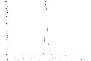 Size-exclusion chromatography-High Pressure Liquid Chromatography (SEC-HPLC) image for Tumor Necrosis Factor Receptor Superfamily, Member 10d, Decoy with Truncated Death Domain (TNFRSF10D) (AA 56-211) protein (His-Avi Tag) (ABIN7275781)