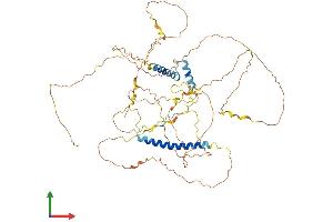 AlphaFold protein structure predicition of Mouse Recombinant Fam149b1 Protein, UniprotID Q6NSV7