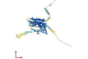 Protein Structure (PS) image for Solute Carrier Family 1 (Glial High Affinity Glutamate Transporter), Member 3 (SLC1A3) (AA 1-543) protein (His tag) (ABIN7556484)
