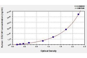 Typical standard curve (COL1A1 ELISA Kit)