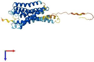 GPR157 Protein (AA 1-335) (His tag)