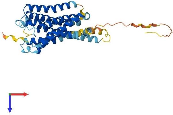 GPR157 Protein (AA 1-335) (His tag)