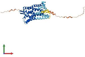 Protein Structure (PS) image for Leukotriene B4 Receptor (LTB4R) (AA 1-351) protein (His tag) (ABIN7562676)