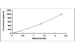 Typical standard curve