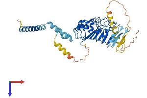 LRRC2 Protein (AA 1-371) (His tag)