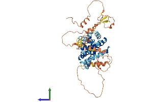 Protein Structure (PS) image for Nuclear Receptor Subfamily 0, Group B, Member 1 (NR0B1) (AA 1-472) protein (His tag) (ABIN7557656)