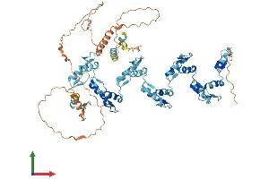 AlphaFold protein structure predicition of Human Recombinant ZNF304 Protein, UniprotID Q9HCX3