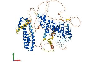 Protein Structure (PS) image for F-Box and Leucine-Rich Repeat Protein 5 (FBXL5) (AA 1-690) protein (His tag) (ABIN7564509)