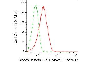 Flow cytometric analysis of Crystallin zeta like 1 expression in HeLa cells using Crystallin zeta like 1 antibody (ABIN7798170), 1:1,000).
