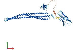 Protein Structure (PS) image for Nitric Oxide Synthase Trafficker (NOSTRIN) (AA 1-506) protein (His tag) (ABIN7549811)