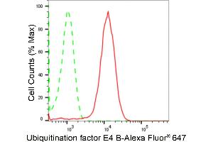 Flow cytometric analysis of Ubiquitination factor E4 B expression in HepG2 cells using Ubiquitination factor E4 B antibody (ABIN7800713), 1:2,000). (Rekombinanter UBE4B Antikörper)