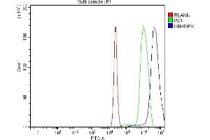 Flow Cytometry analysis of C6 cells using anti-hnRNP K/HNRNPK antibody (ABIN7601650). (HNRNPK Antikörper  (AA 40-463))