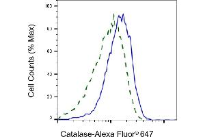 Validation of Catalase knockdown using flow cytometry.