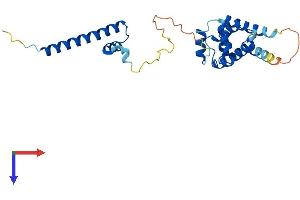 CCDC103 Protein (AA 1-237) (His tag)