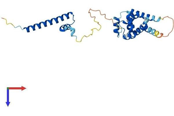 CCDC103 Protein (AA 1-237) (His tag)