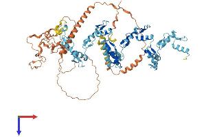 ZNF544 Protein (AA 1-715) (His tag)