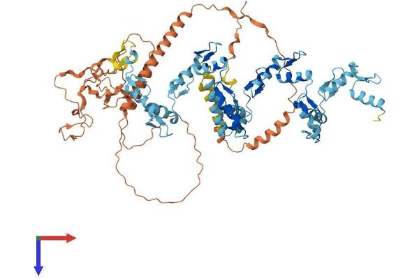 ZNF544 Protein (AA 1-715) (His tag)