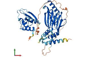 Protein Structure (PS) image for Interferon Regulatory Factor 3 (IRF3) (AA 1-419) protein (His tag) (ABIN7563532)