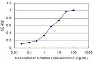 Detection limit for recombinant GST tagged RCV1 is approximately 0. (Recoverin Antikörper  (AA 101-199))