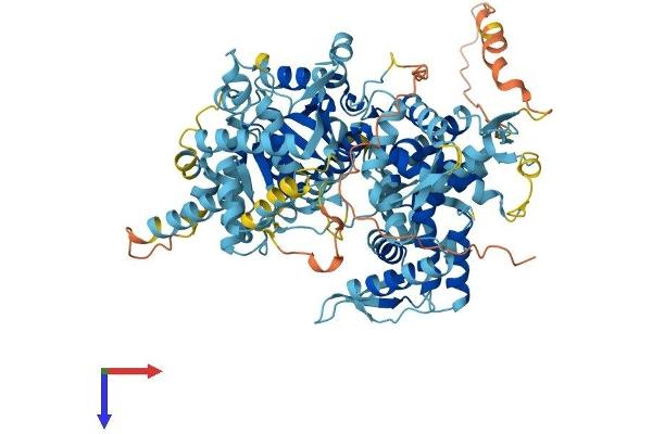 GPAT2 Protein (AA 1-795) (His tag)