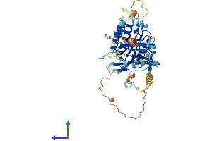 Protein Structure (PS) image for Elongator Acetyltransferase Complex Subunit 4 (ELP4) (AA 1-422) protein (His tag) (ABIN7561422)
