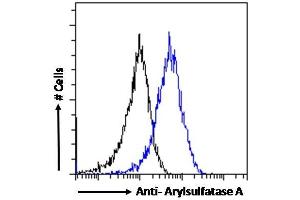 ABIN238536 Flow cytometric analysis of paraformaldehyde fixed HeLa cells (blue line), permeabilized with 0. (Arylsulfatase A Antikörper  (Internal Region))