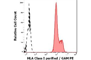 Separation of human leukocytes stained using anti-HLA Class I (MEM-147) purified antibody (concentration in sample 1.