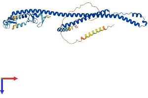 TRIM31 Protein (AA 1-425) (His tag)