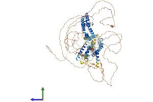 Protein Structure (PS) image for Potassium Voltage-Gated Channel, KQT-Like Subfamily, Member 5 (KCNQ5) (AA 1-933) protein (His tag) (ABIN7565109)