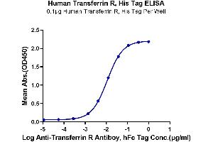 Immobilized Human Transferrin R, His Tag at 1 μg/mL (100 μL/well) on the plate. (Transferrin Receptor Protein (His-Avi Tag))
