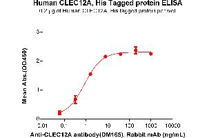 ELISA plate pre-coated by 2 μg/mL (100 μL/well)Human CA Protein, His Tag (ABIN6964075, ABIN7042405 and ABIN7042406) can bind Anti-CA antibody(DM165), Rabbit mAb in a linear range of 0.