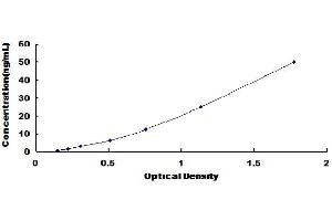 Pyruvate Kinase M2 (PKM2) ELISA Kit