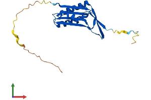 Protein Structure (PS) image for Molybdenum Cofactor Synthesis 2 (MOCS2) (AA 1-188) protein (His tag) (ABIN7549500)