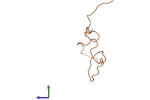 Protein Structure (PS) image for Keratin Associated Protein 8-1 (KRTAP8-1) (AA 1-61) protein (Fc Tag) (ABIN7562182)