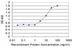 Detection limit for recombinant GST tagged TAP1 is approximately 3ng/ml as a capture antibody. (TAP1 Antikörper  (AA 241-350))