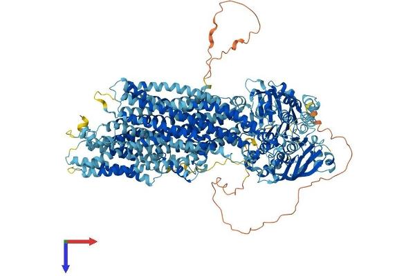 ABCC1 Protein (AA 1-1528) (His tag)