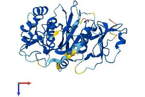 NUDT19 Protein (AA 1-357) (His tag)