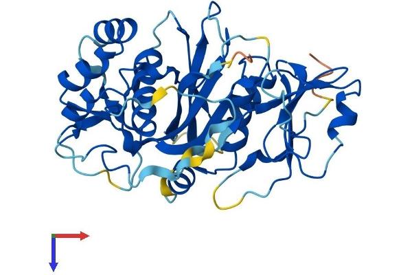 NUDT19 Protein (AA 1-357) (His tag)