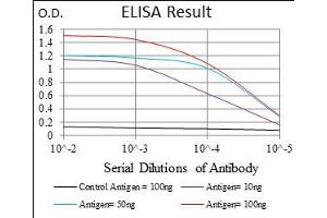 Black line: Control Antigen (100 ng), Purple line: Antigen(10 ng), Blue line: Antigen (50 ng), Red line: Antigen (100 ng), (IL3RA Antikörper  (AA 200-305))