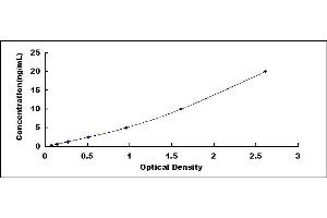 Typical standard curve (COX2 ELISA Kit)