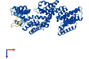 TTC30B Protein (AA 1-665) (His tag)