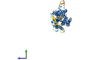 Protein Structure (PS) image for G Protein-Coupled Receptor 173 (GPR173) (AA 1-373) protein (His tag) (ABIN7558087)