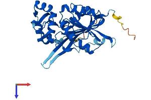METTL6 Protein (AA 1-284) (His tag)