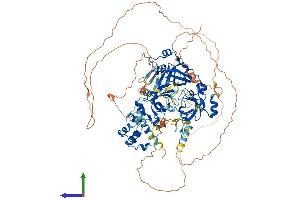 L3MBTL3 Protein (AA 1-883) (His tag)