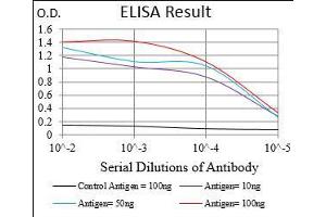 Black line: Control Antigen (100 ng), Purple line: Antigen(10 ng), Blue line: Antigen (50 ng), Red line: Antigen (100 ng), (PER3 Antikörper  (AA 723-954))