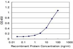 Detection limit for recombinant GST tagged RCV1 is approximately 1ng/ml as a capture antibody. (Recoverin Antikörper  (AA 1-200))