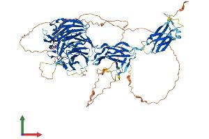 Protein Structure (PS) image for Host Cell Factor C2 (HCFC2) (AA 1-792) protein (His tag) (ABIN7548261)